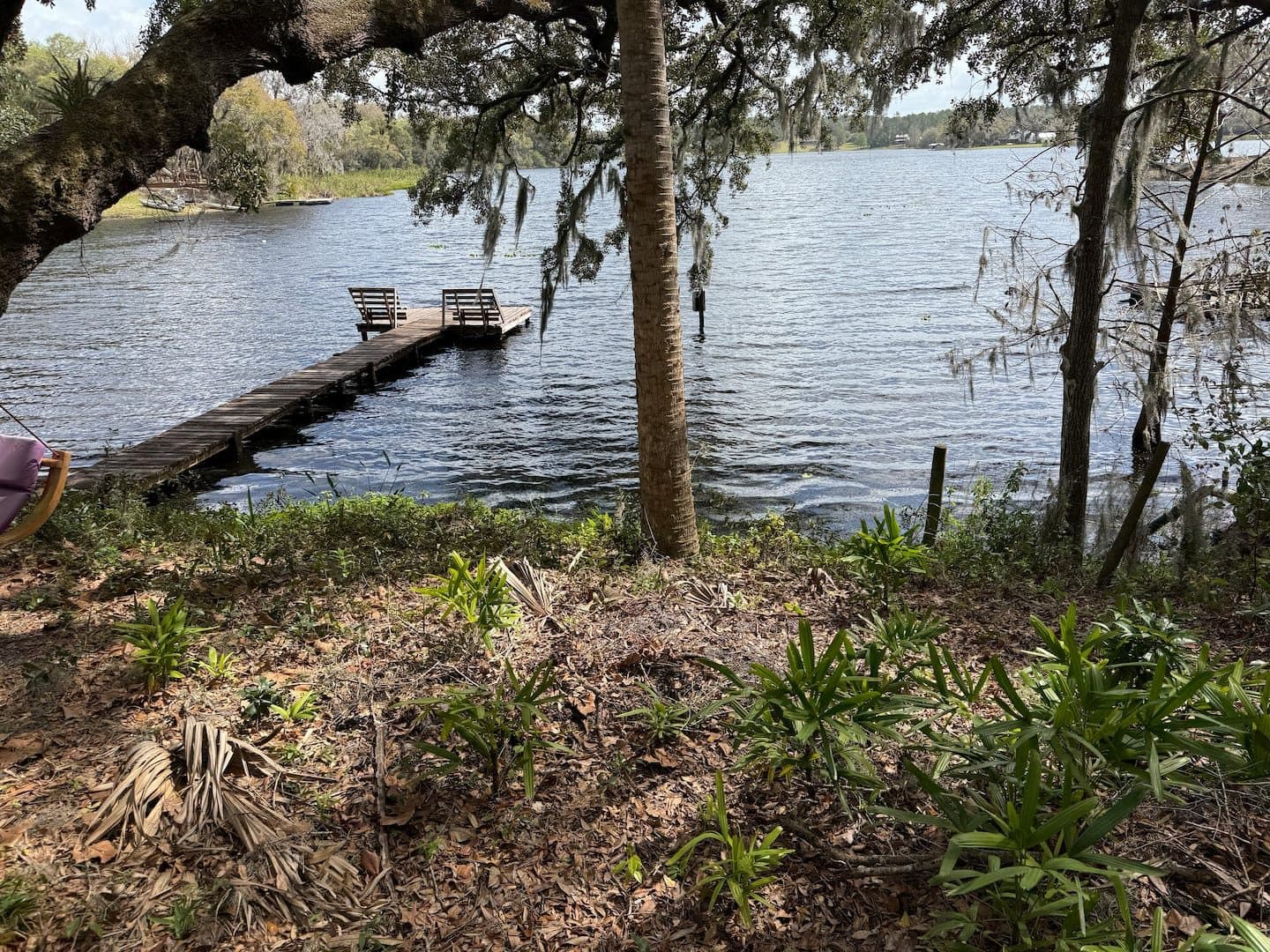 View through the trees to a dock on the lake