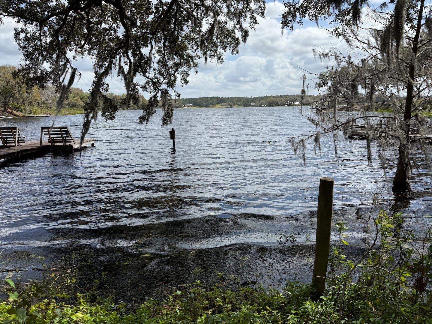 Lake view with docks and moss-draped trees